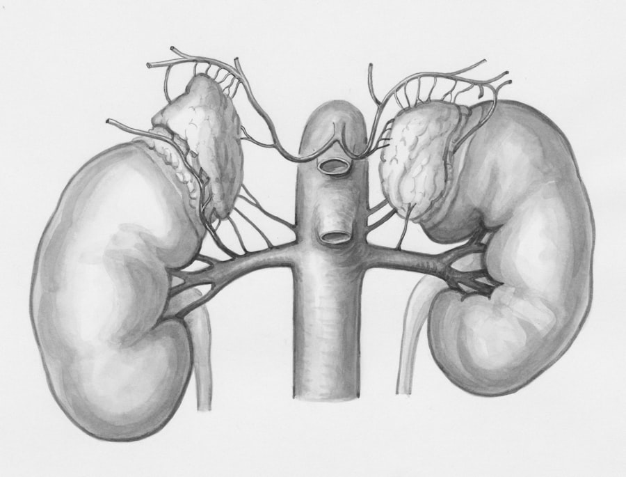 Artificial Pancreas Systems