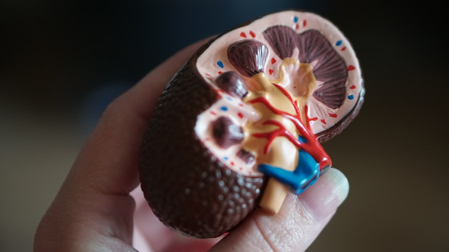 Photo Diabetes and Heart Health