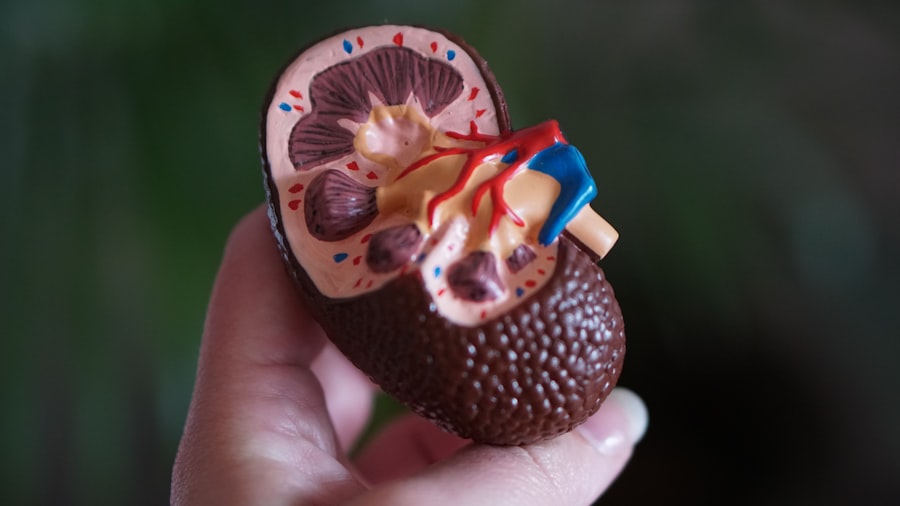 Photo Diabetes and Kidney Disease