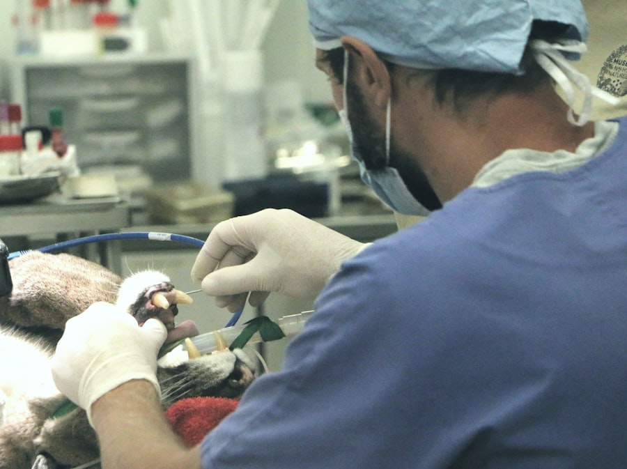 Artificial Pancreas Technology