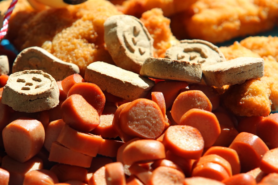 Protein Sources Diabetics