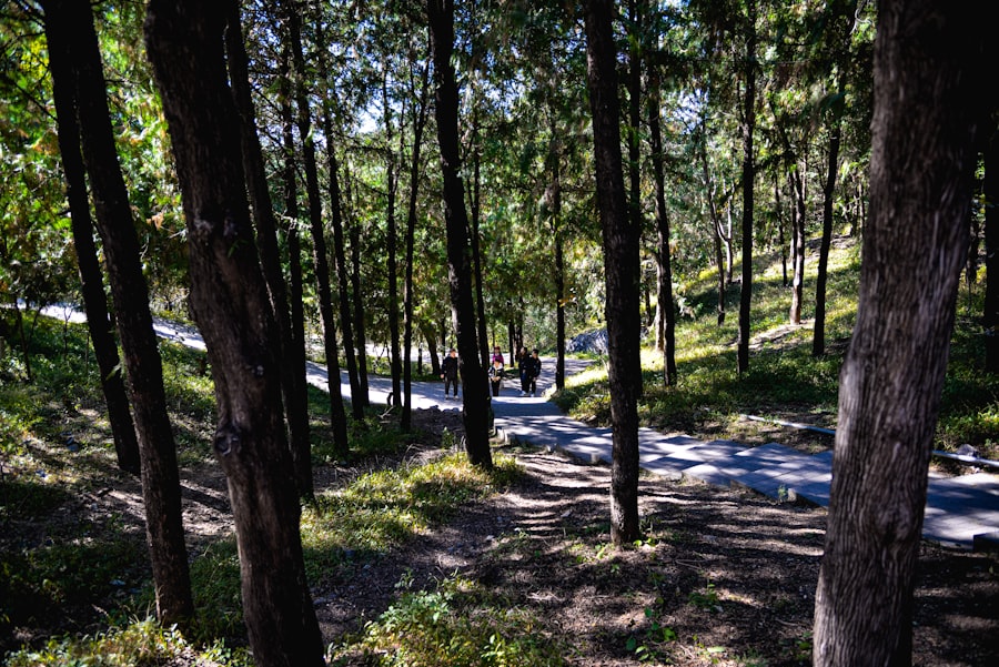 Photo Walking Workouts