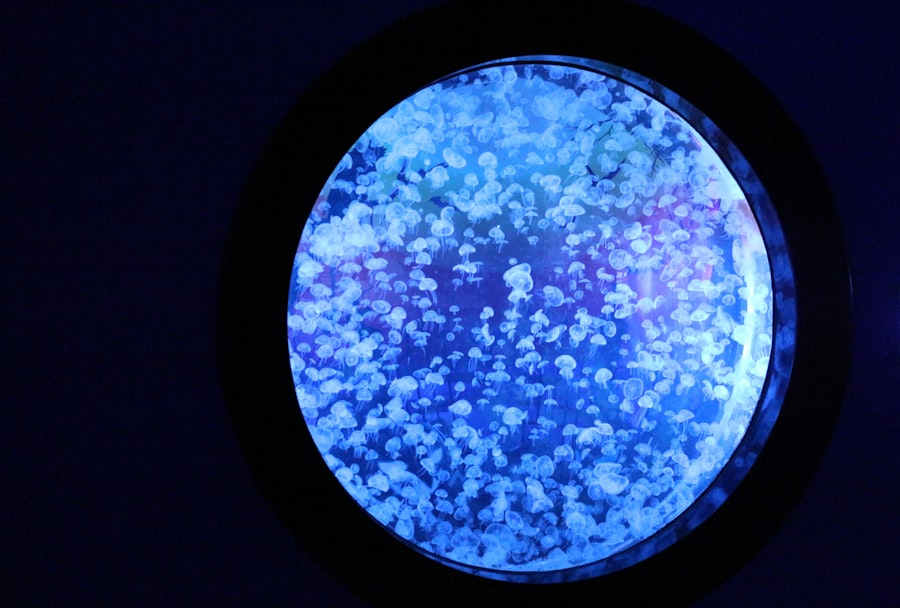 Photo Stem Cell Research